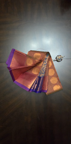 Blue Border saree with contrast saree