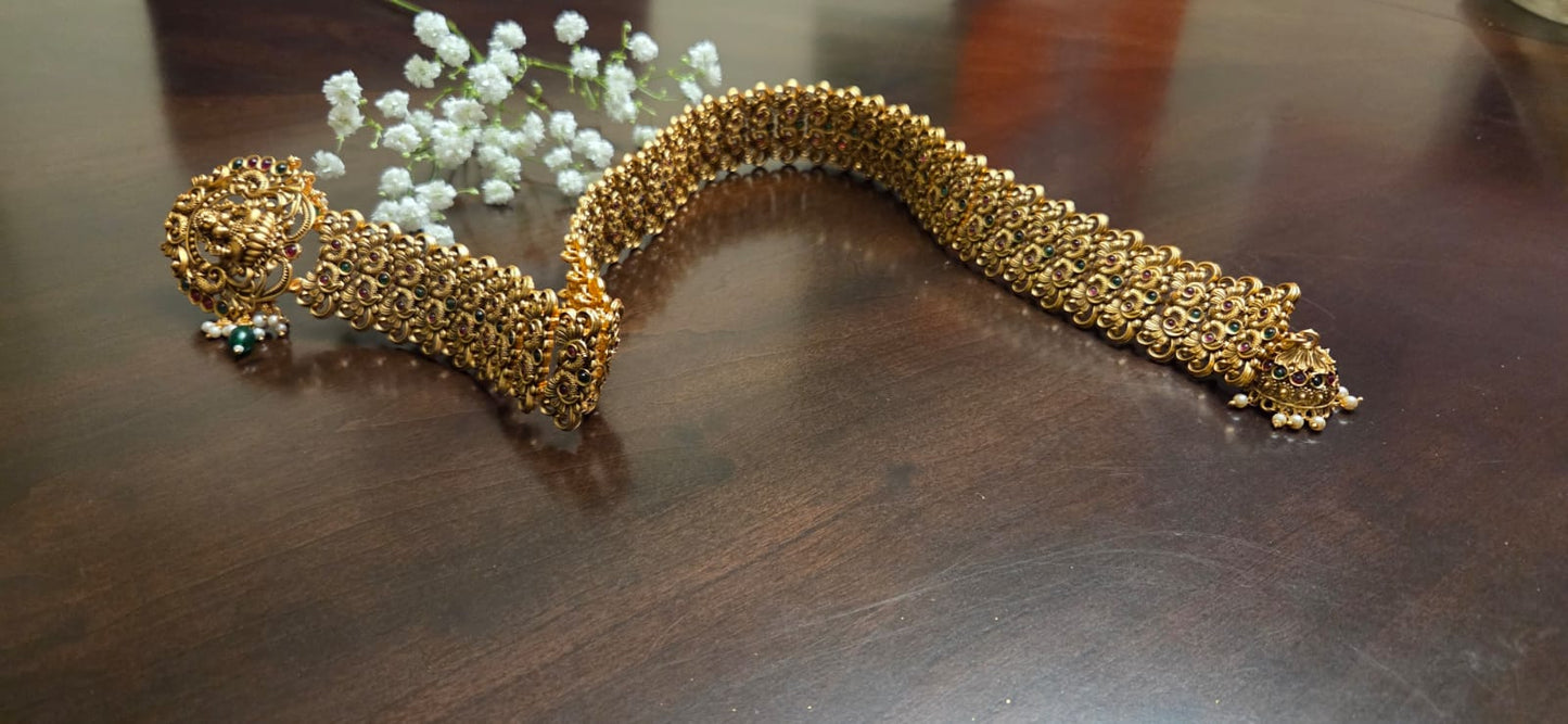 Exclusive design Bridal/Dance/Party wear Gold long Jada/Jadai